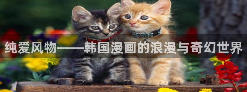 免费耽漫网：纯爱风物——韩国漫画的浪漫与奇幻世界