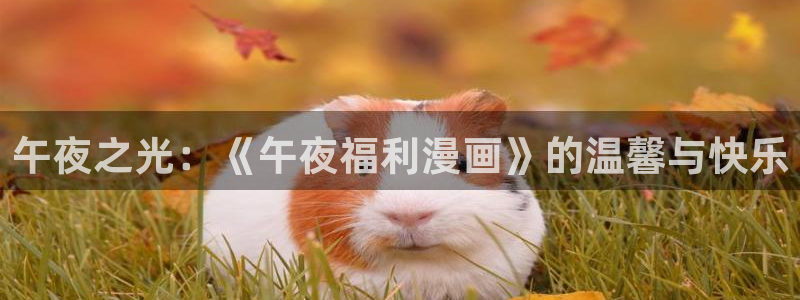 星辰耽漫网：午夜之光：《午夜福利漫画》的温馨与快乐