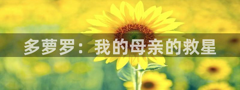 耽漫网官网：多萝罗：我的母亲的救星