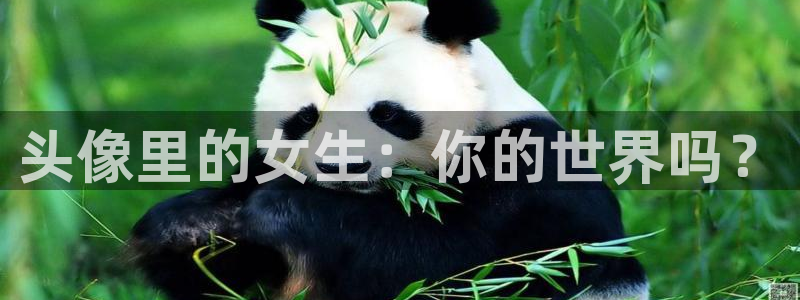 耽漫网值得收藏的书下拉式：头像里的女生：你的世界吗？